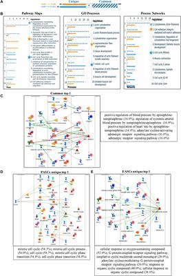 Multi-Omics Analysis to Examine Gene Expression and Metabolites From Multisite Adipose-Derived Mesenchymal Stem Cells
